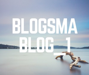 Elke dag bloggen